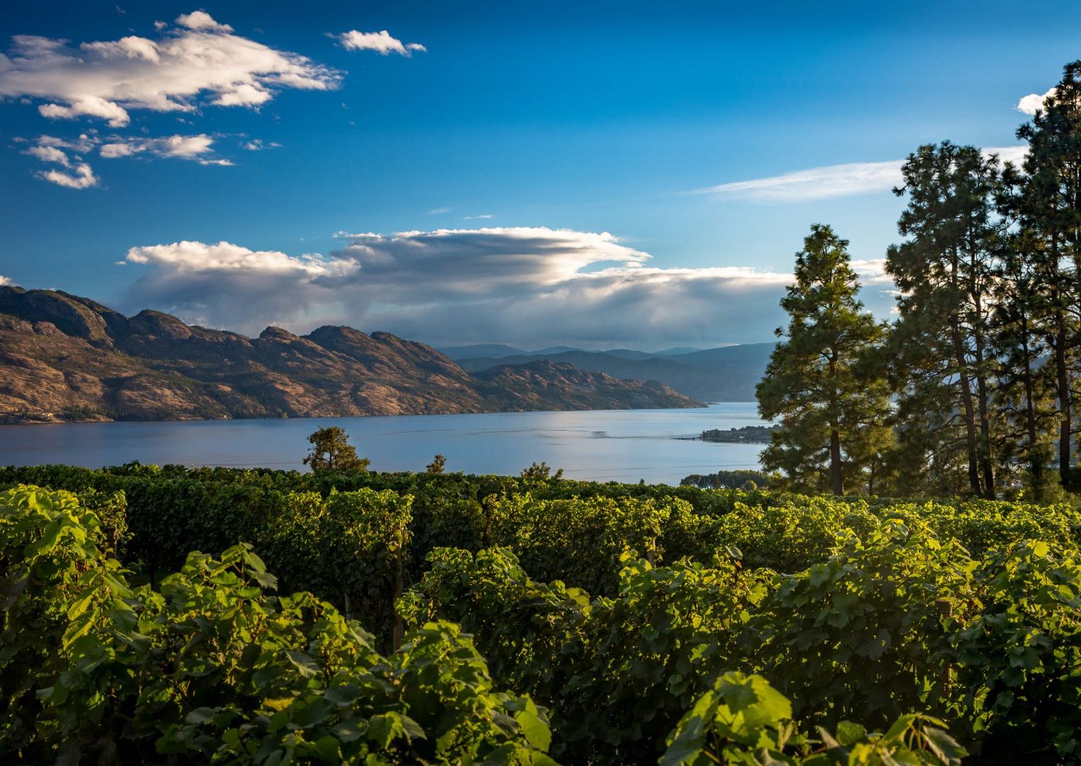 Kelowna